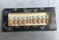 Blue French Tip Shell Press-On Nails – “Coastal Treasure” Collection
